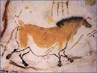 Image of a horse from the Lascaux caves.